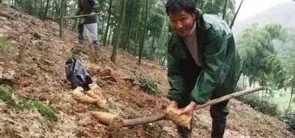 ����ɽ�����б����ˣ������⼸�죡����ϳ�ͷԼ������