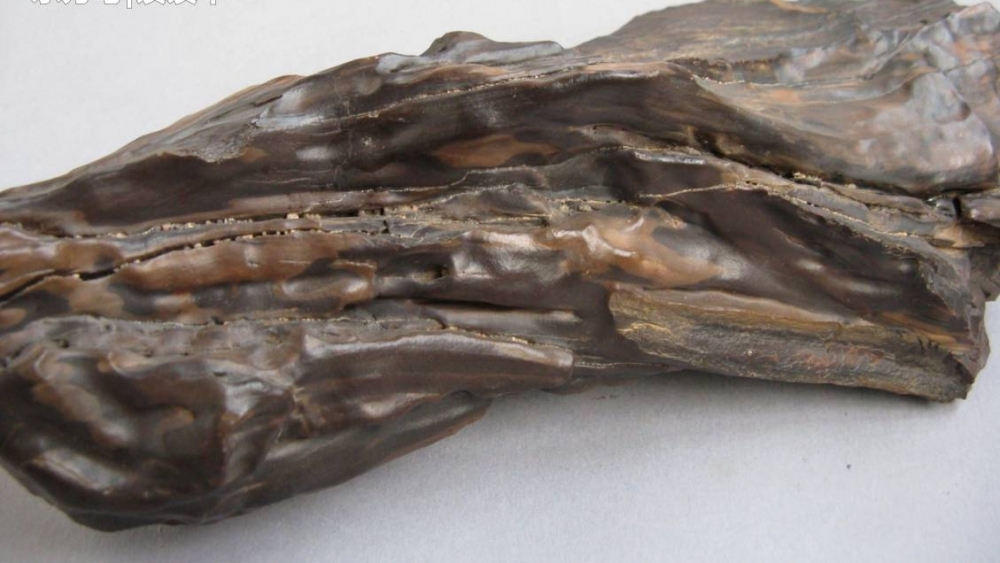 �������ֲ���֮ľ�����軯ľ��������