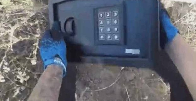 ������·�ߵĲݴ����һ����ɫ���ӣ���һ���������ֶ�����