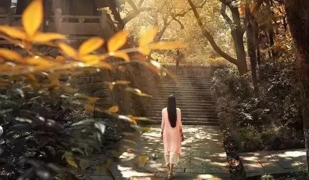 �簲�Ķ����¡���ꡢ��Ʒ��������·��