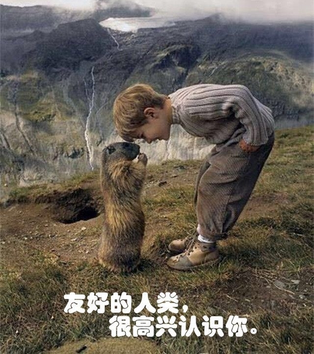 ���붯���г�ദ��˲��