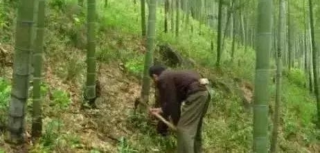 ����ɽ�����б����ˣ������⼸�죡����ϳ�ͷԼ������