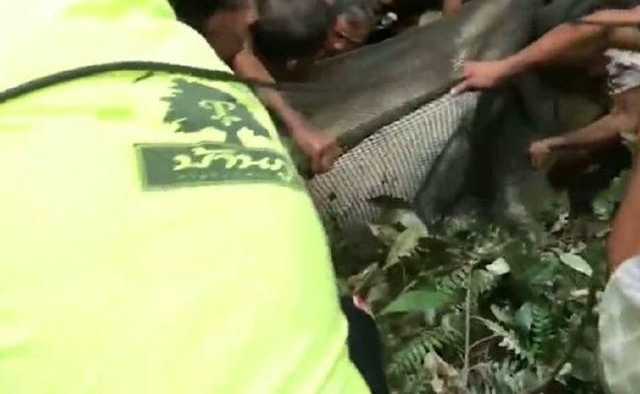 ������в������꣬�����Ϊ���񣬸ɺ���ʮ���˺���̧�ϰ�