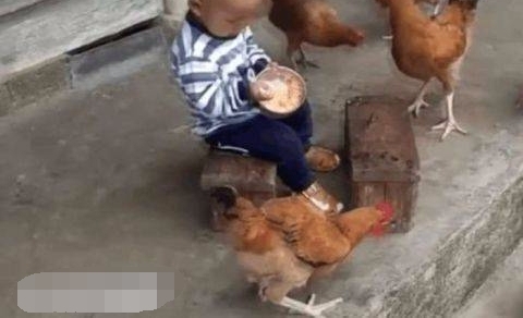 С�к�������Ժ����Է����������һȺ�����ҳ���������