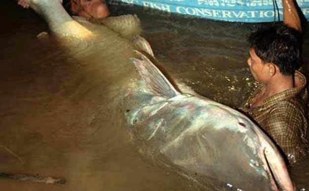 ������в������꣬�����Ϊ���񣬸ɺ���ʮ���˺���̧�ϰ�