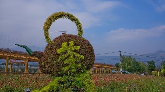 ���ں�����ɪɪ��������ɵ�ˣ���ȥ＂��?�����＂ժ�ļ���ȥ