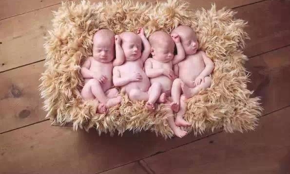 Ů�Ӳ��������İ�̥ �������̥����ܰ����