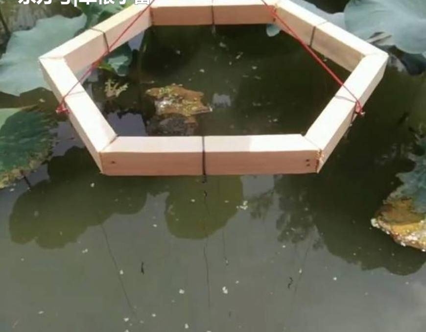 ũ�尮�õ����ľ���������Ƶ��ߴﵽ��һ�����ɡ���Ч����