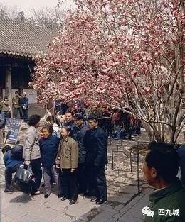 80年代老照片,这才是北京人记忆中的北京!