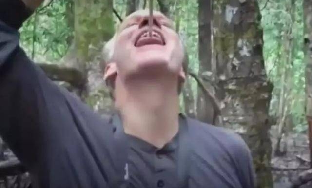 男子树林中发现蹊跷,拽出活物后他的做法让人无语了