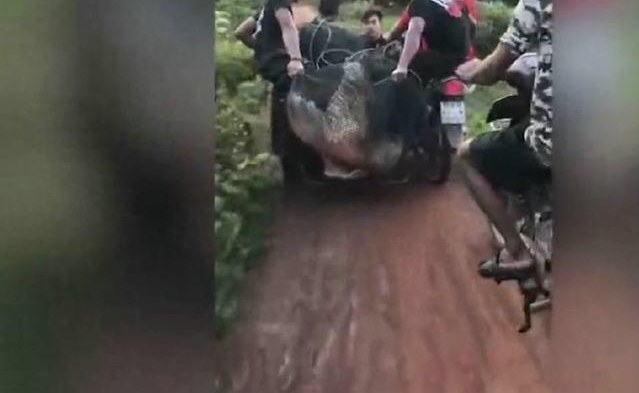 ������в������꣬�����Ϊ���񣬸ɺ���ʮ���˺���̧�ϰ�