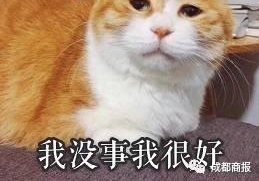 ���ģ�00 ���� QQ��΢��̫���� �ʺ�������