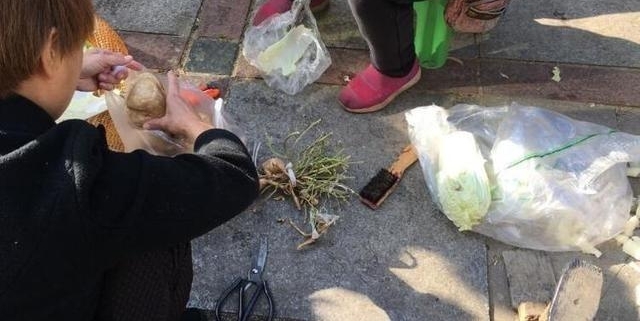 ��ʮ������������ײˣ�����Ů�˿Ͱ������޲�