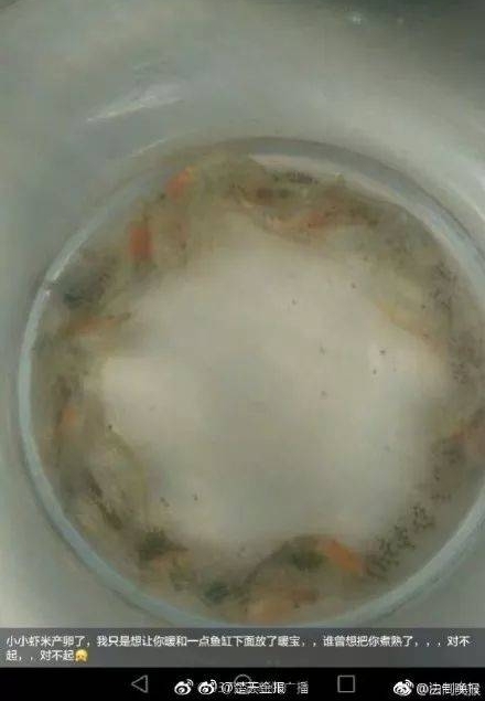 ��B����ح��̫̫͵��13�Σ���ֻ���ε� ��͵���������������Ʊ���д󽱡�