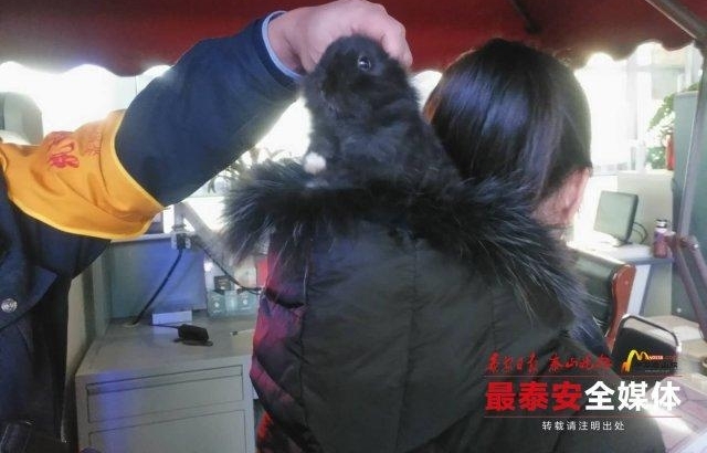 ��С���Ӳ���ñ�������͵�ɣ�һŮ��ѧ��̩��վ�����챻��
