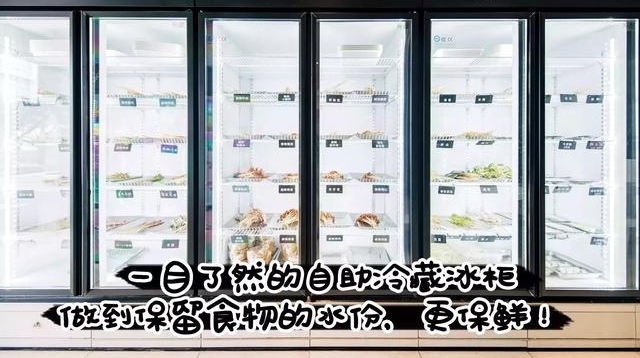 ȫ��0.1Ԫ/��������100%�ܲ��˵Ĵ����꣬��һ���Ҳ����㲻������