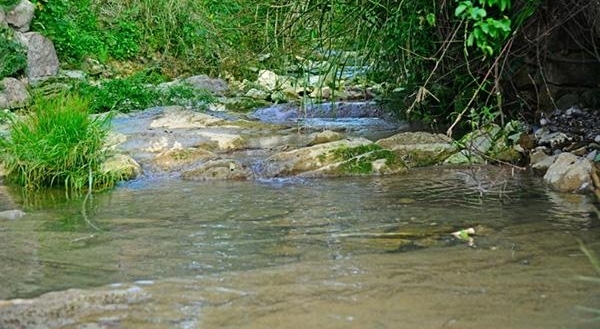 ���ж�����һ�����֣�ȡ�������Ϻ����ߡ������Զ��Ժʿ����