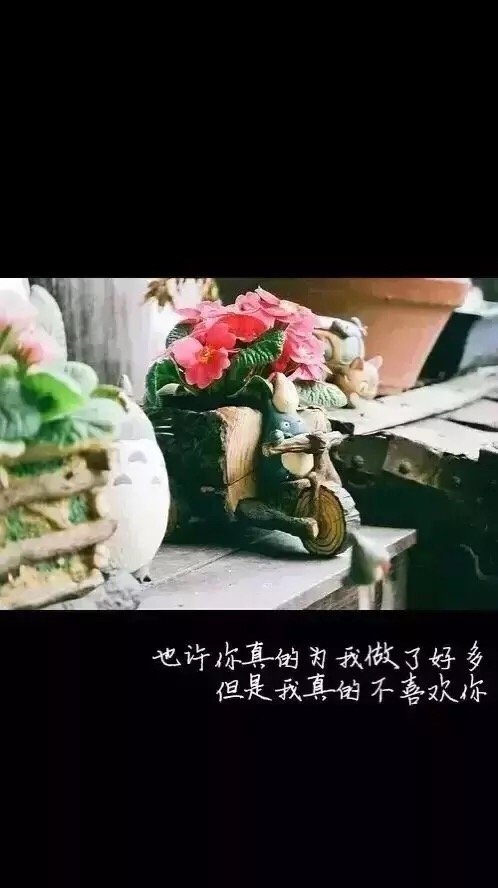 ǲϲ㣬Ϊʲô