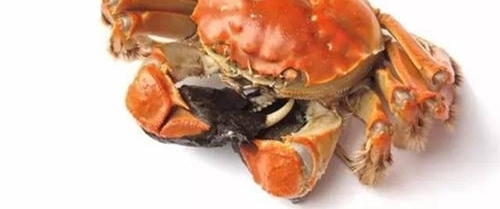 ��C��������ͨ��Ȩ��?�й�������籭?11��ҥ����������û