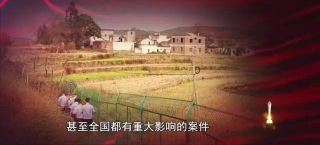 �ƻ��죺������� ��Ѷר��