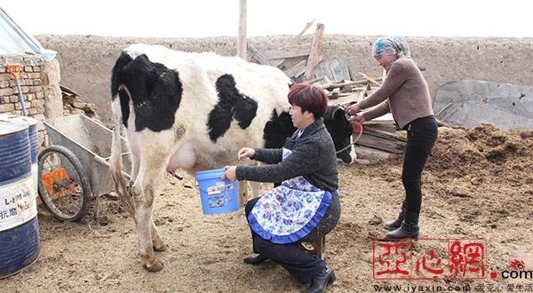 �½���˰:�����Ž�һ���� ��ů�����