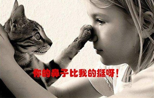 ���붯���г�ദ��˲��