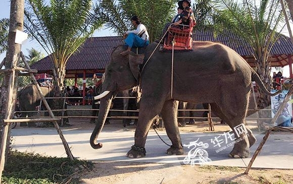 ���쵼�α�̩�������̤�����¼���չ���οͻ��� ��������