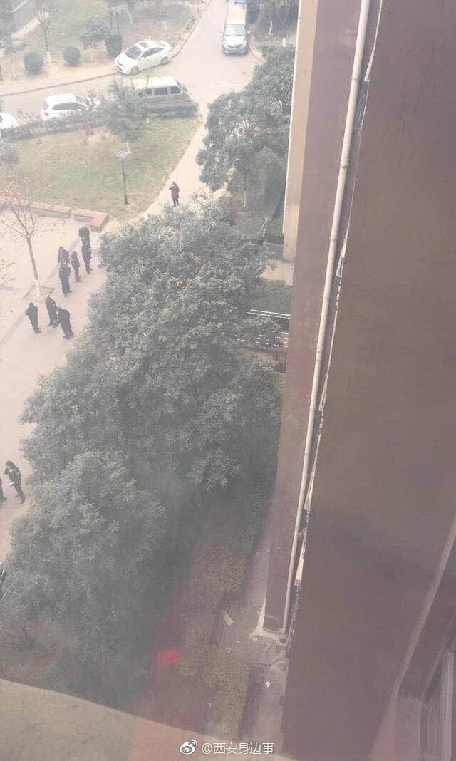����һŮӤ��¥��׹������ ���Ʊ�������¥