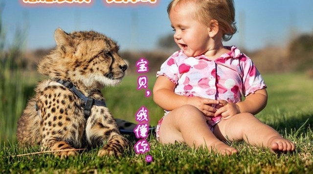 ���붯���г�ദ��˲��