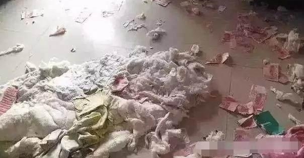��ϲ֮�ո�ĸֻ׼����һ�����ӣ��������Ĵ������