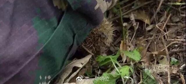 ����ͼ�����˽����ֱ�Ұ��Կ��������ҳ��������������ˣ�