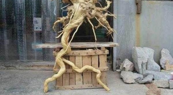 ũ���ү������ľ��, �峤�����Ͻ�����