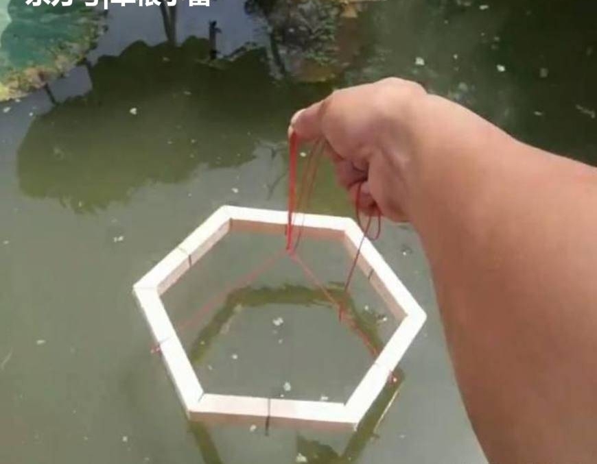 ũ�尮�õ����ľ���������Ƶ��ߴﵽ��һ�����ɡ���Ч����
