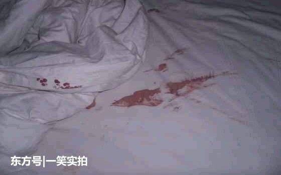 女子醒来觉得不对劲,掀开枕头发现有东西,仔细一看吓得赶紧喊人