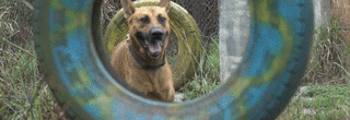 ů��2017 | ��Ȯ����Ժ��һ����������� ����������������