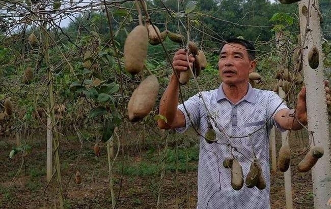 ���������ʽ��ţ���磬����ũ��ר��������Ķ׬6��7��Ԫ