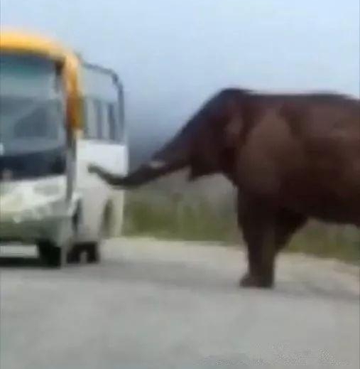 ����Ұ�󡰴�١��ͳ������粣������һ��������