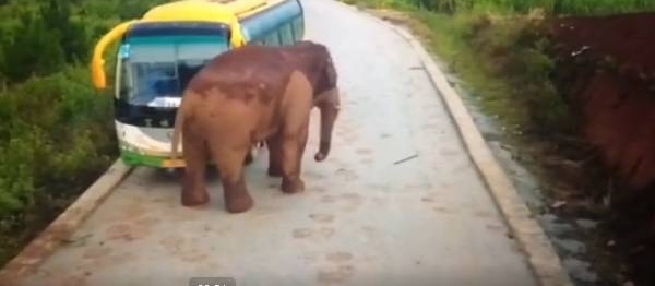 ����Ұ�󡰴�١��ͳ������粣������һ��������