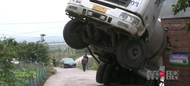 ����һ����ײ���� Ů����Ҫ����⳥