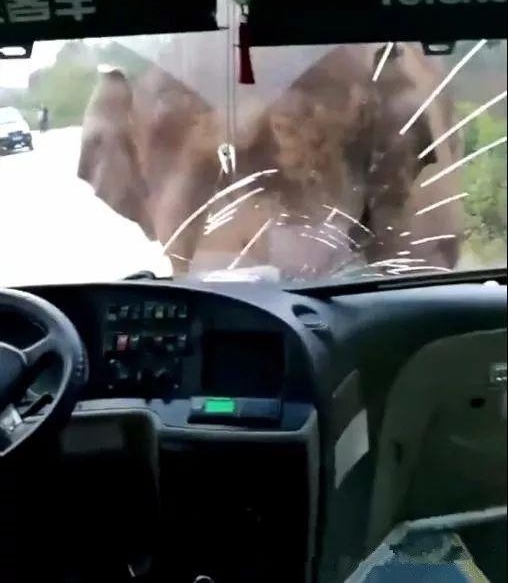 ����Ұ�󡰴�١��ͳ������粣������һ��������
