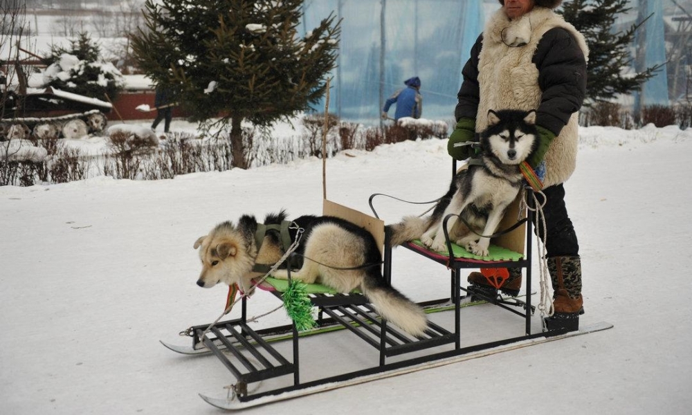 ����20�ȶ���ѩ��һ�����ӱ��4�� ���������