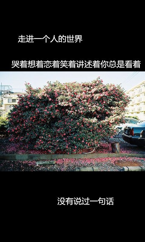 ˣûʱ