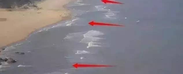 ��ɽŮ˾�����³�����󺣣��Ϲ��������Ҳ����
