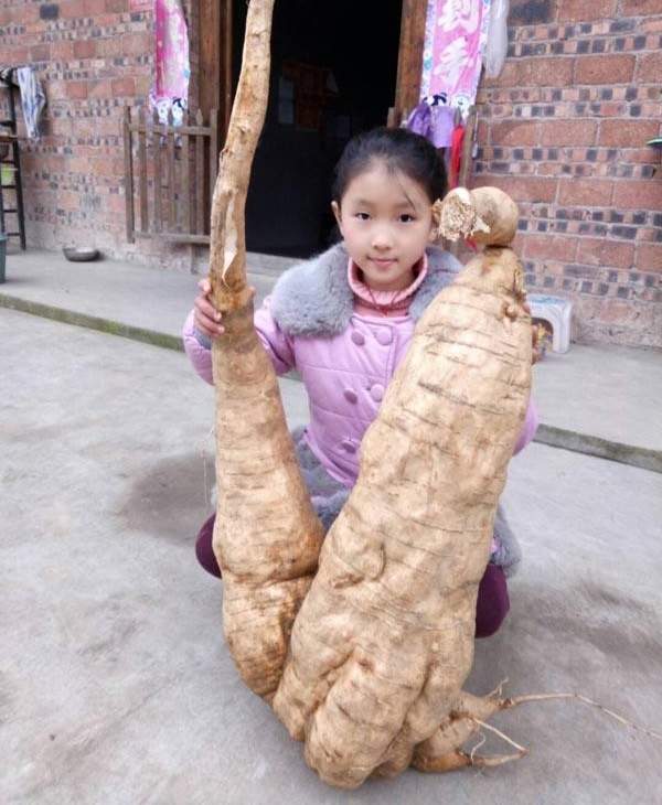 �����ʡ�V������ ���ݴ����ڳ�44���ظ��