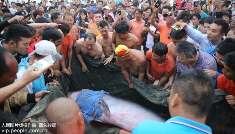 �������ǣ���Ԯ��Ա����300�������˸�ǳĨ�㾨