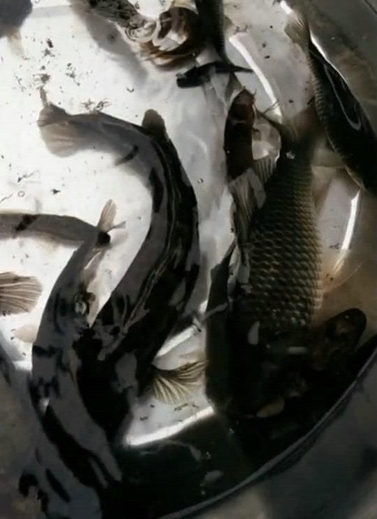 ·�߹ž�������˵�Ǻ����ѣ���һ�����������