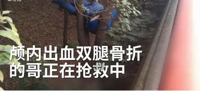 �ĸ�·�߿��ֻ� ���γ�ײ�ɹ�����