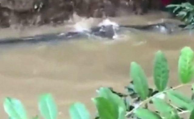 ������в������꣬�����Ϊ���񣬸ɺ���ʮ���˺���̧�ϰ�