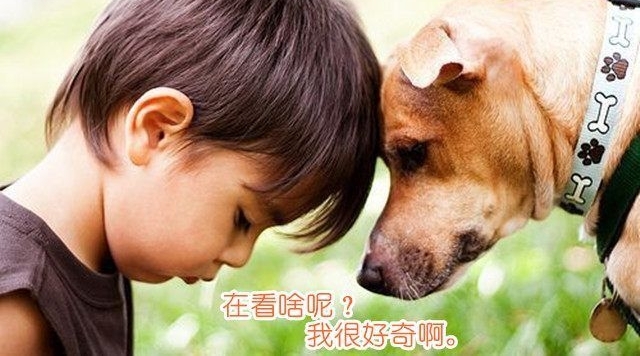 ���붯���г�ദ��˲��