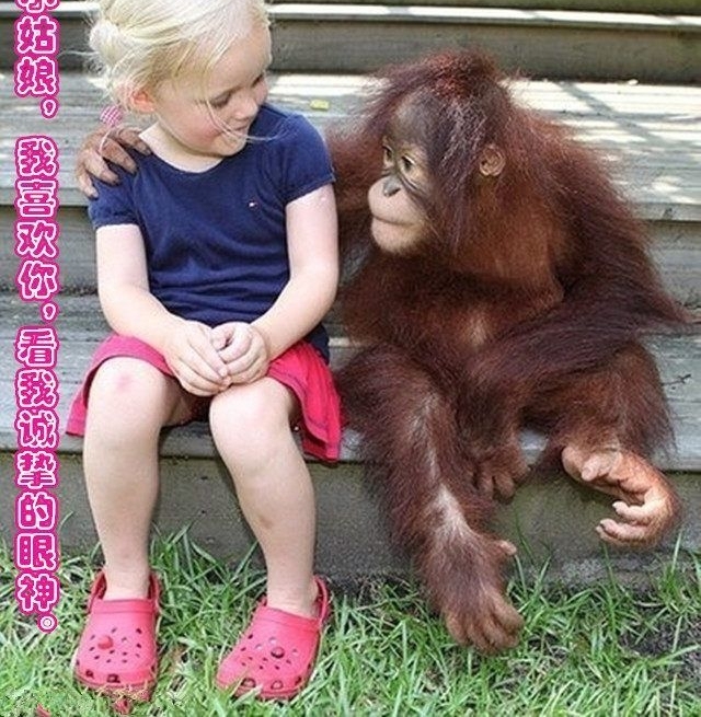 ���붯���г�ദ��˲��